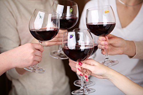 Magnetic Wine Glass Charms Set of 6 F129923