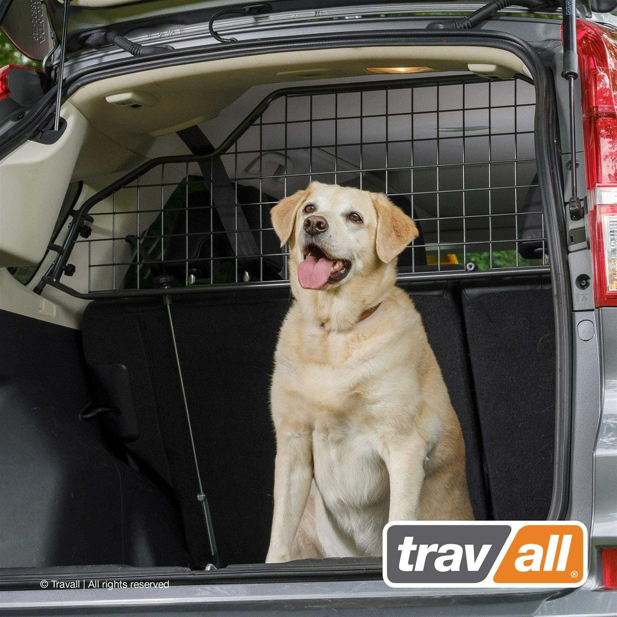 Pet/Cargo Barrier A502663