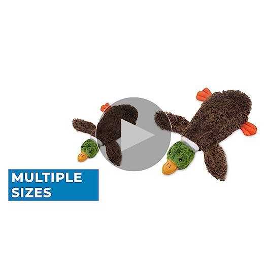 2-in-1 Stuffless Squeaky Dog Toys T327