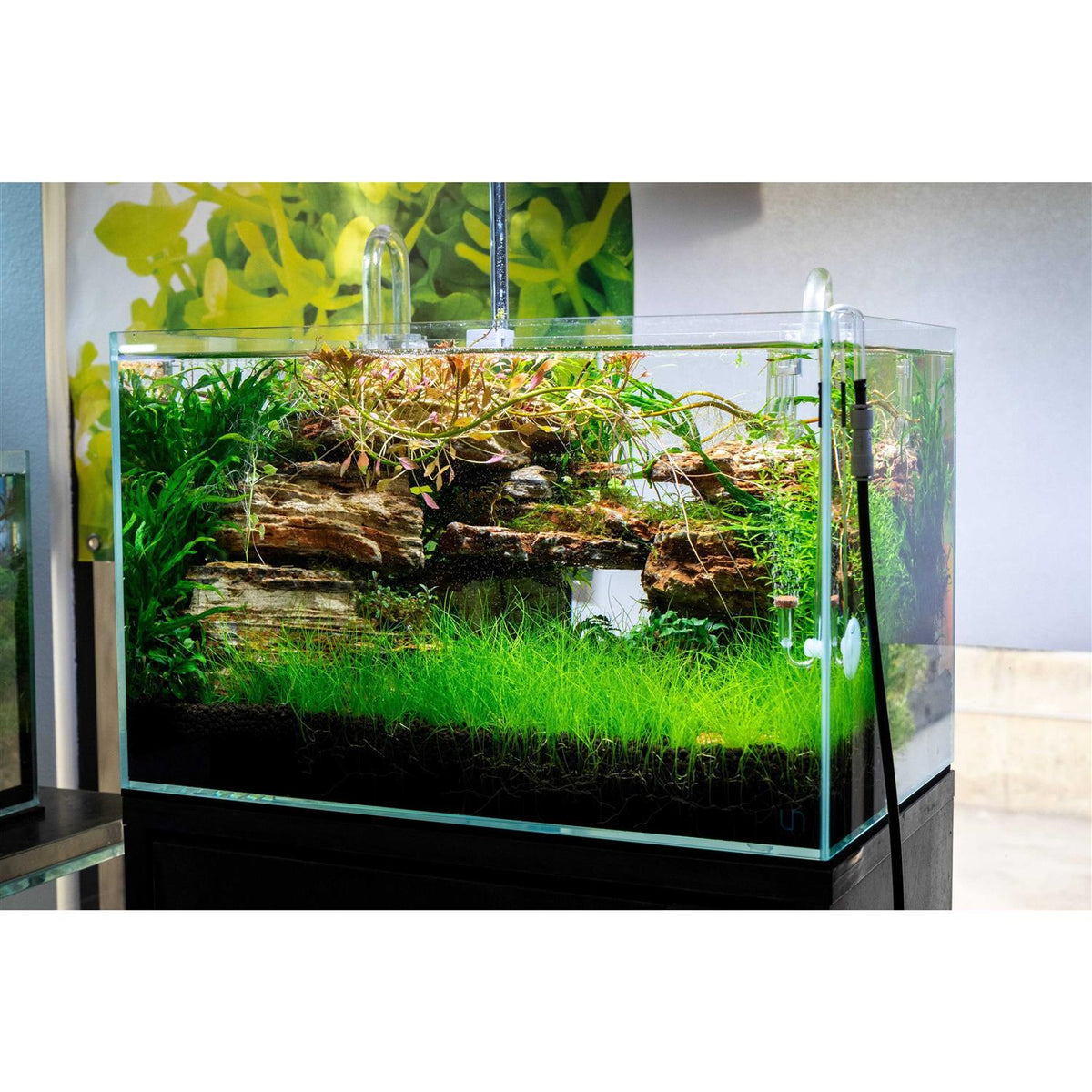 Rimless Aquarium 9 gallons B777