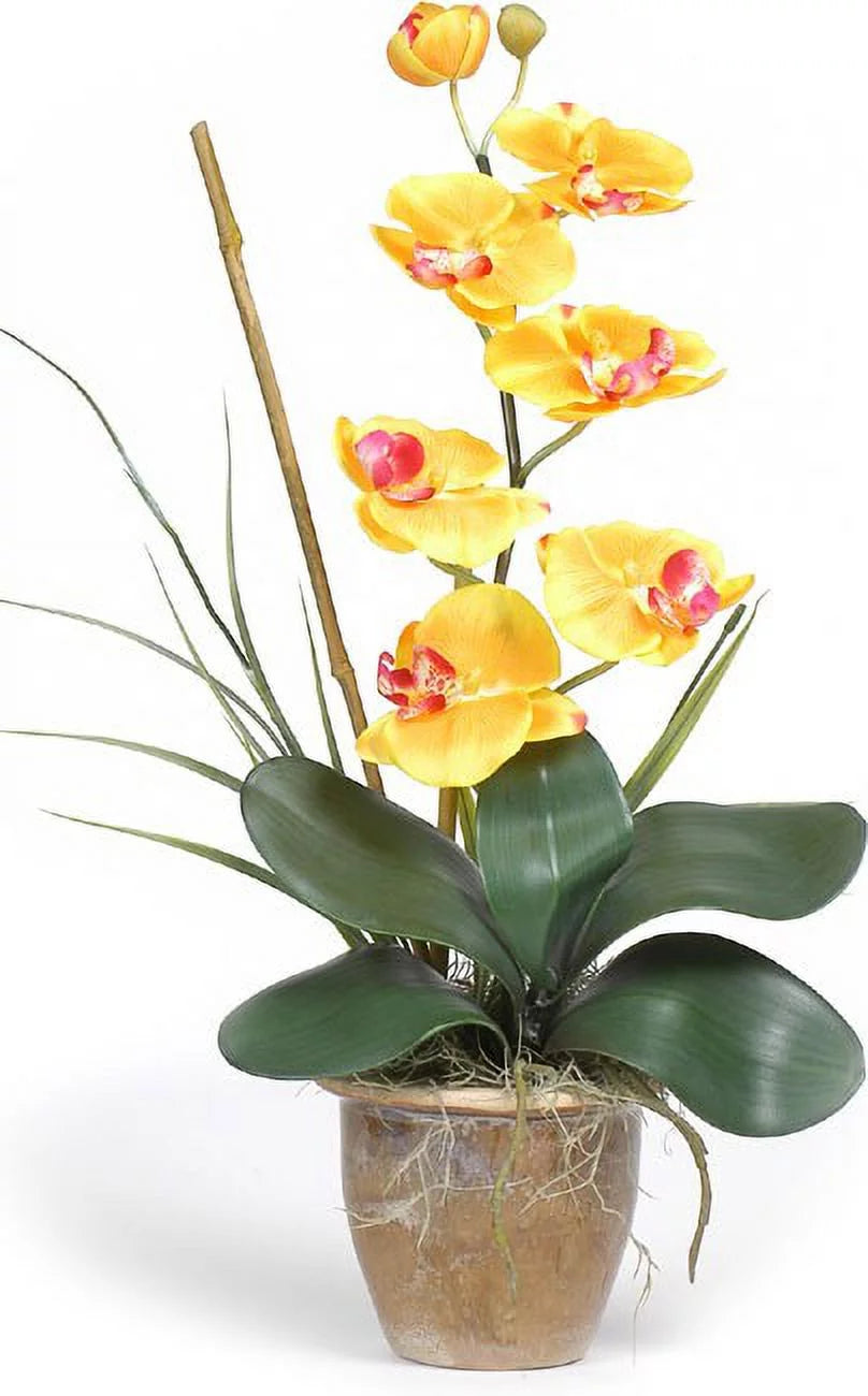 Silk Orchid Plant K79285