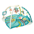 4-in-1 Activity Gym & Play Mat F58699
