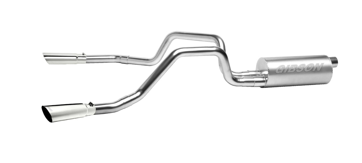Stainless Cat-Back Dual Split Exhaust System P8102