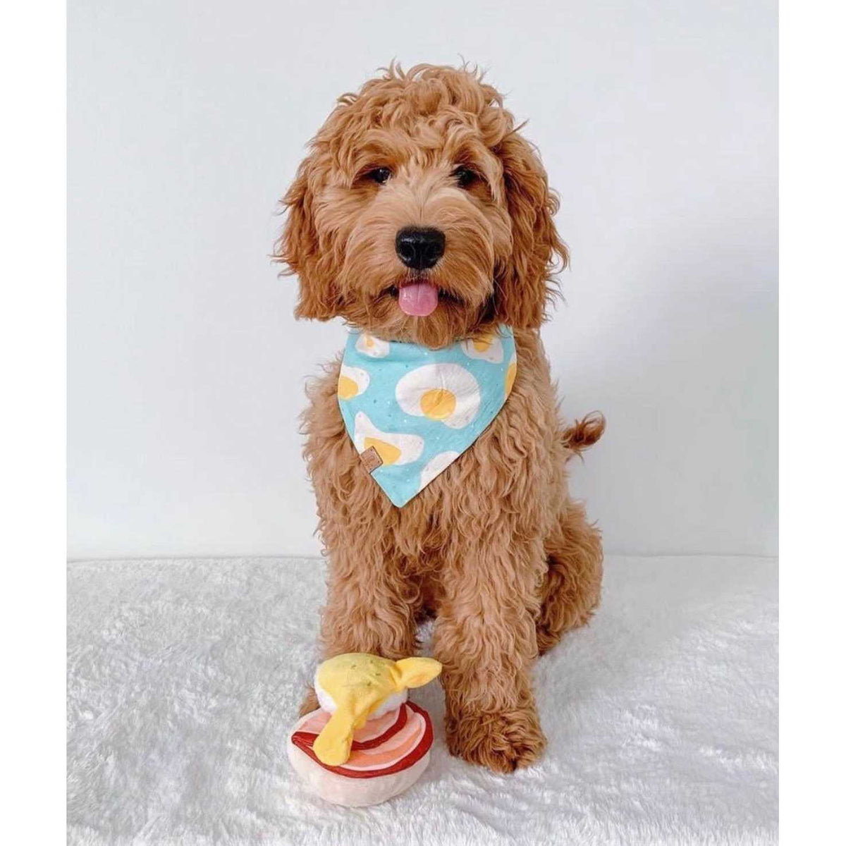 Dog Toy O496769