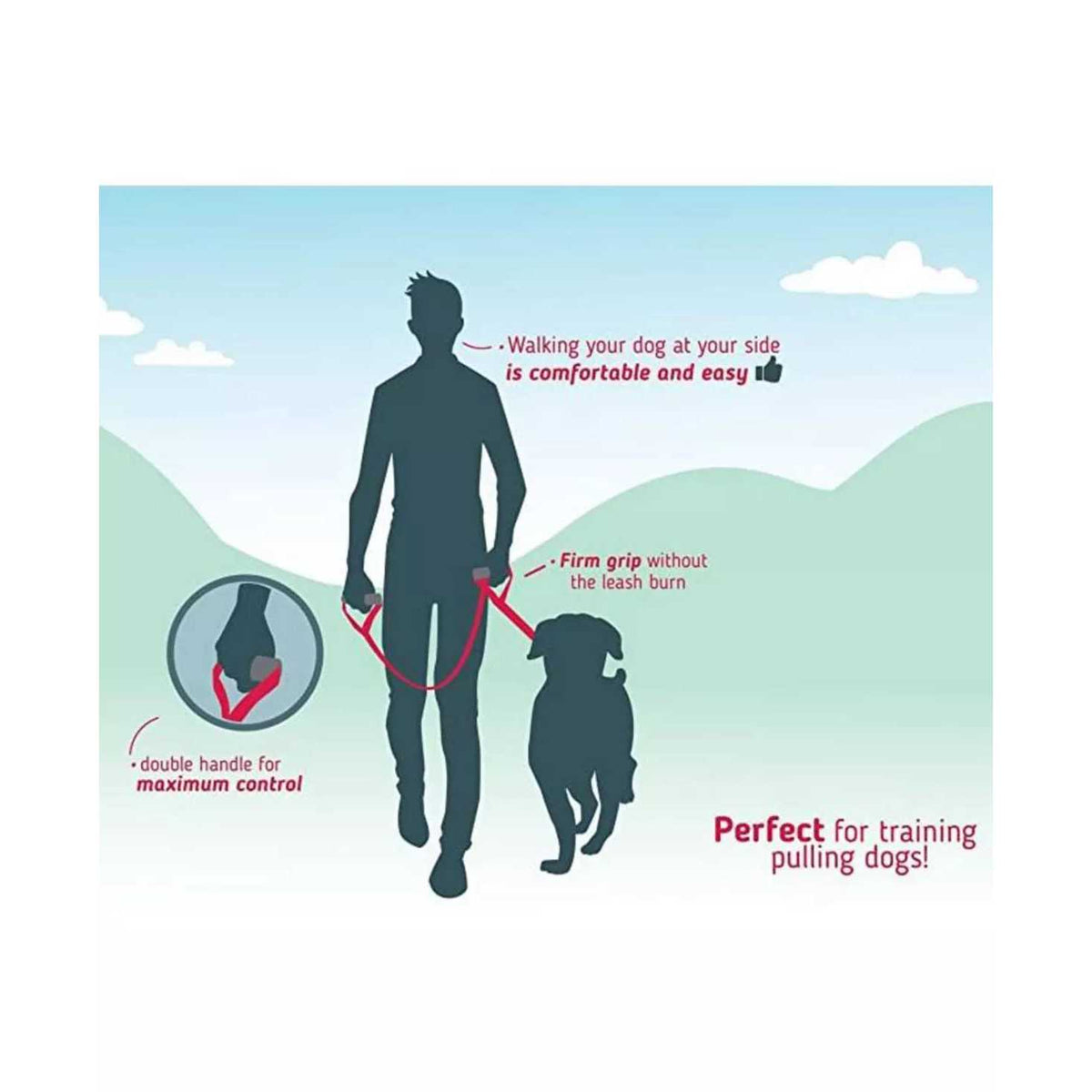 Heavy Duty Dog Leash V958597