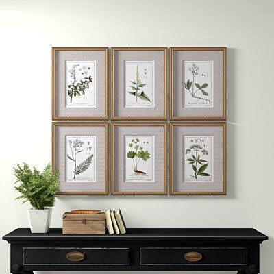 Botanical Sketches Picture Frame Graphic Art Set R735