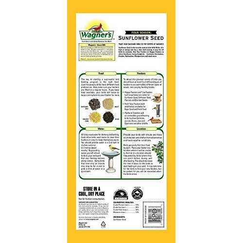 Black Oil Sunflower Seed Z623884