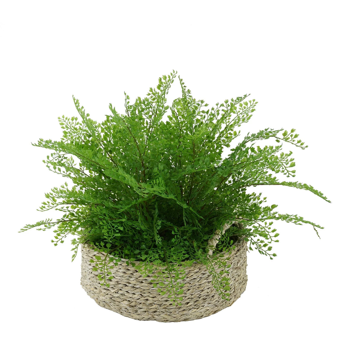 Faux Maidenhair Fern in Seagrass Tray Basket Q41753