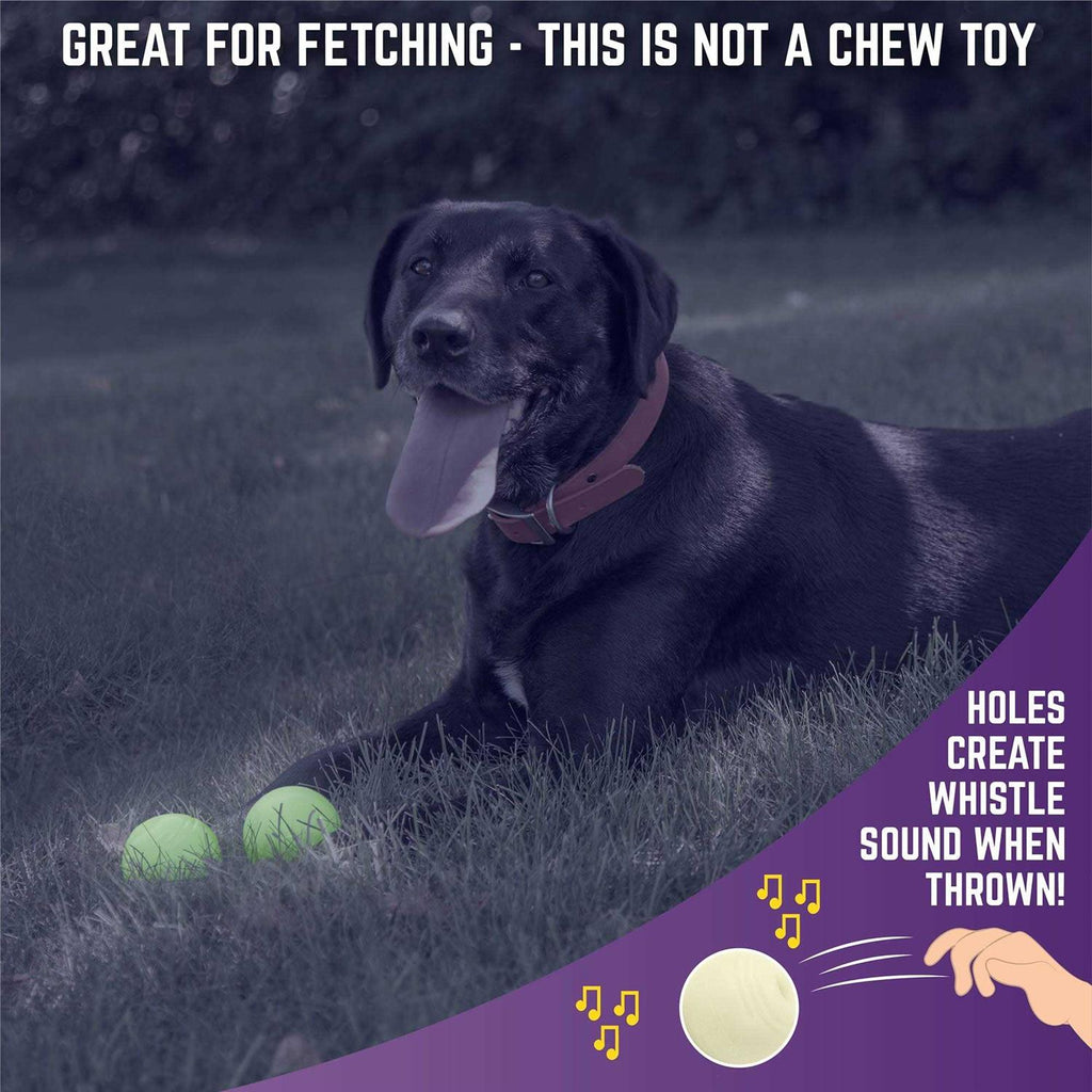Glow Ball Dog Toys W246