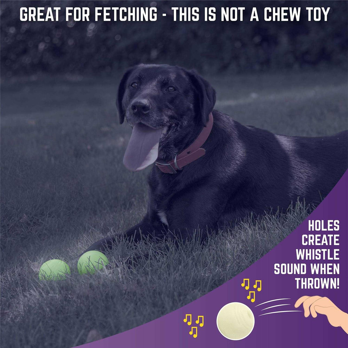 Glow Ball Dog Toys W246