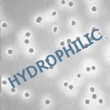 13mm 0.01 Micron Polycarbonate Membrane Filters 100/pk X6427