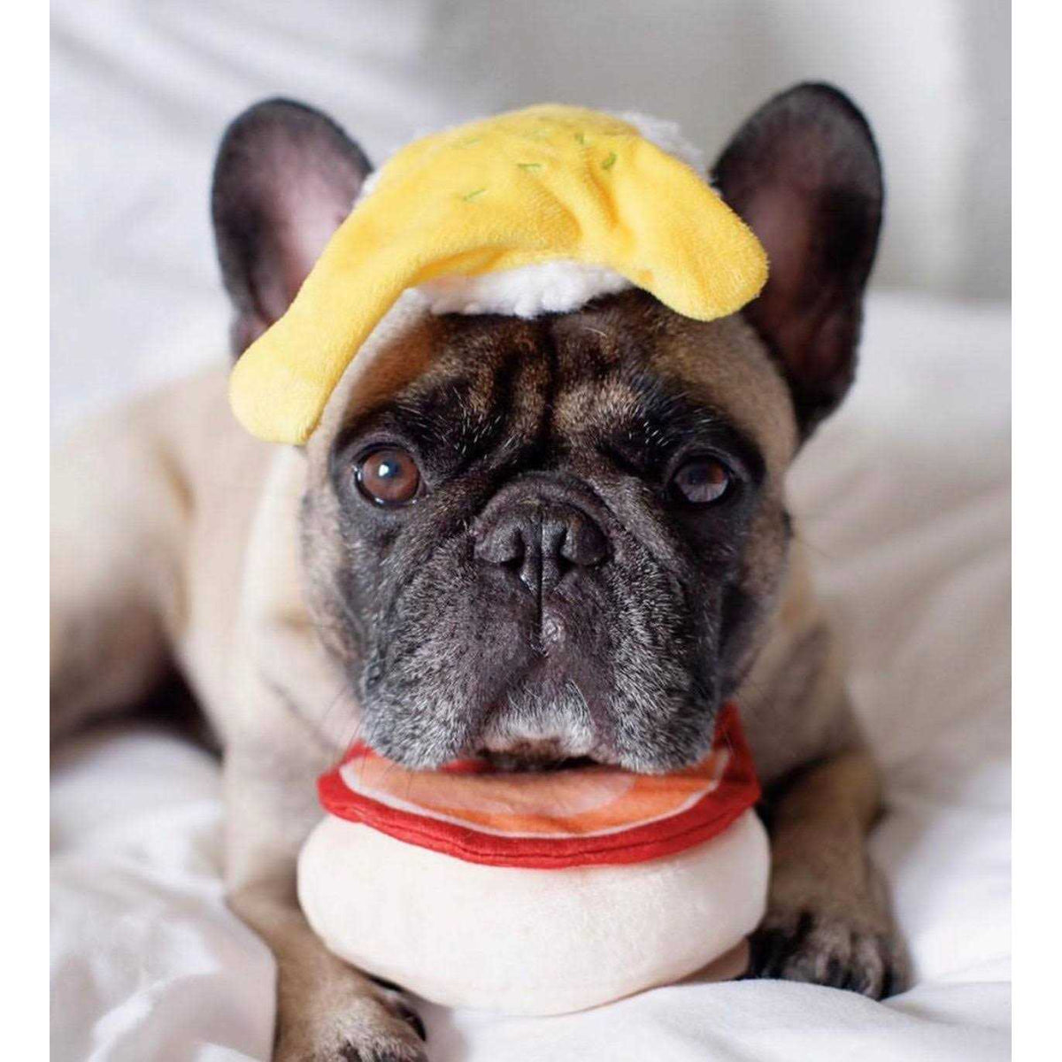 Dog Toy O496769