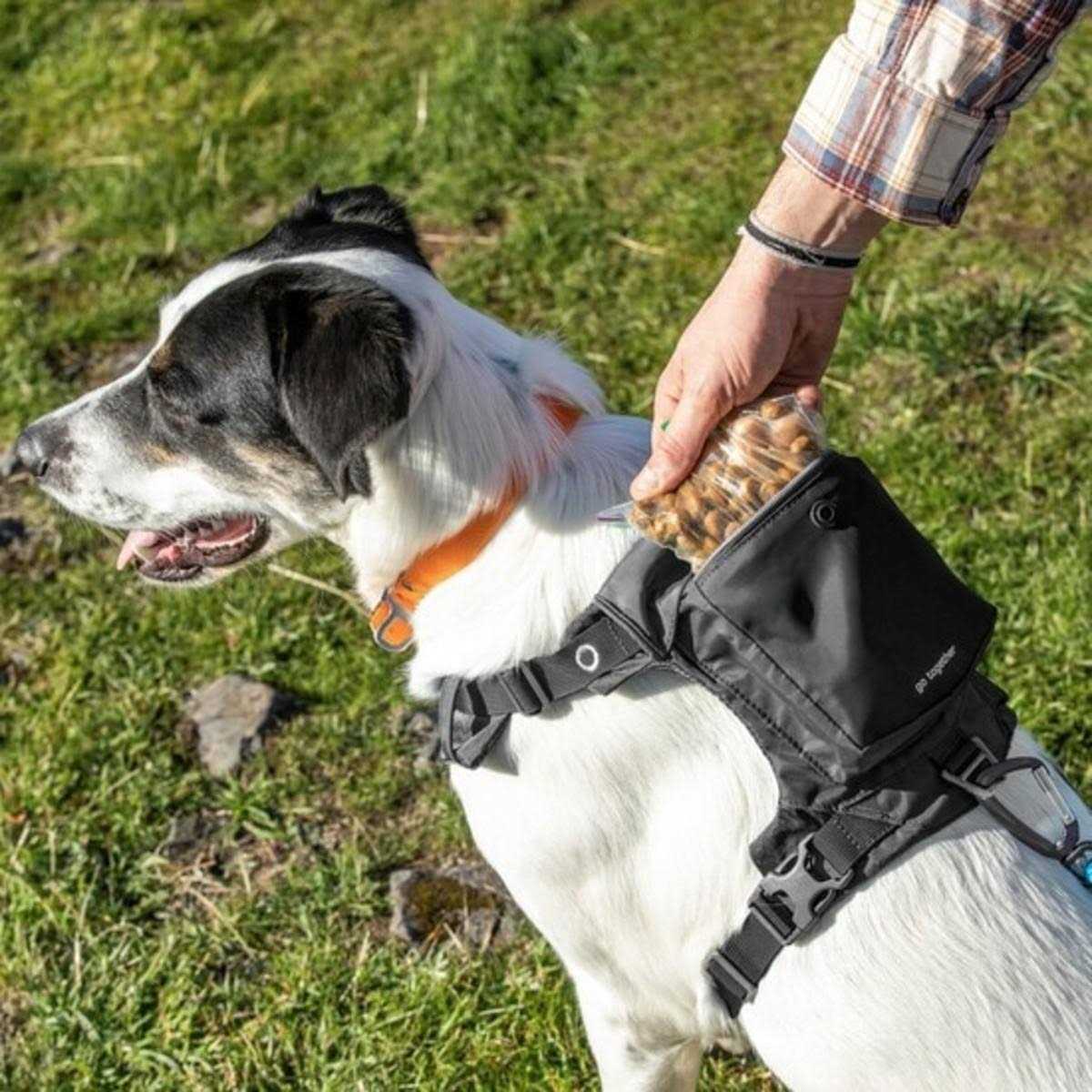 Dog Harness F41299