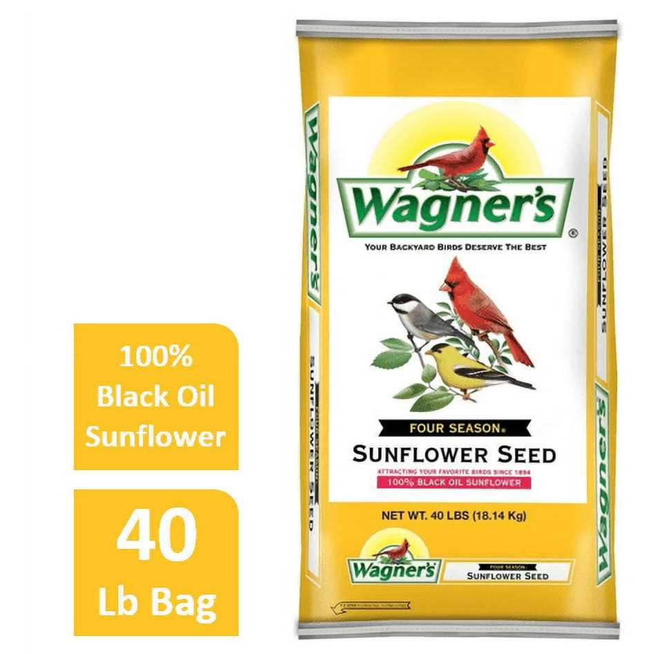 Black Oil Sunflower Seed Z623884