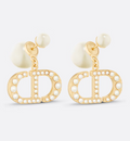 Earrings B4987