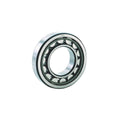 Cylindrical Bearing 45 mm Bore 100 mm K70733