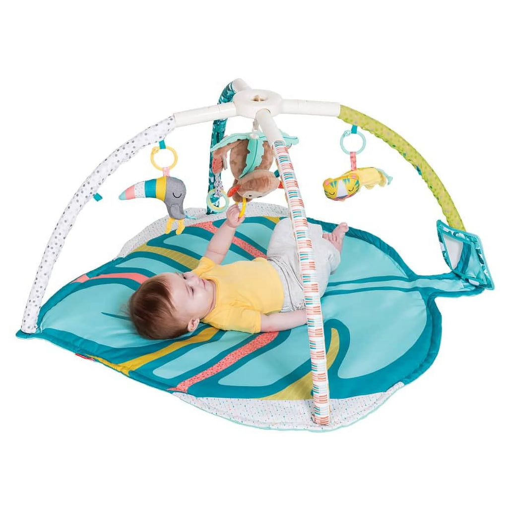 4-in-1 Activity Gym & Play Mat F58699