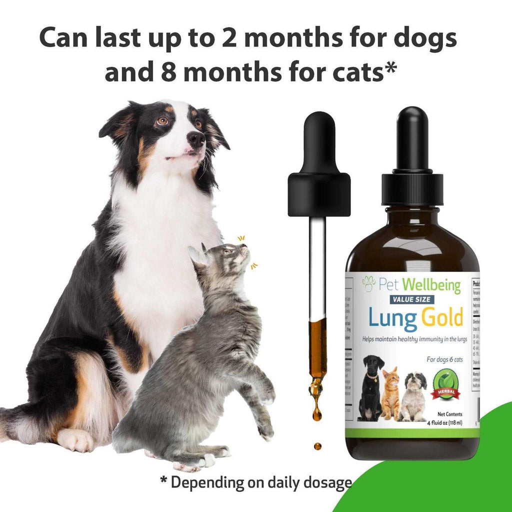 Lung Gold for Cats X7050