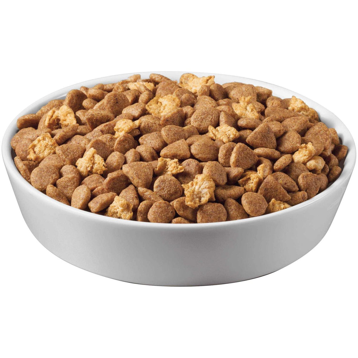 High Protein Grain Free Dry Cat Food A448957