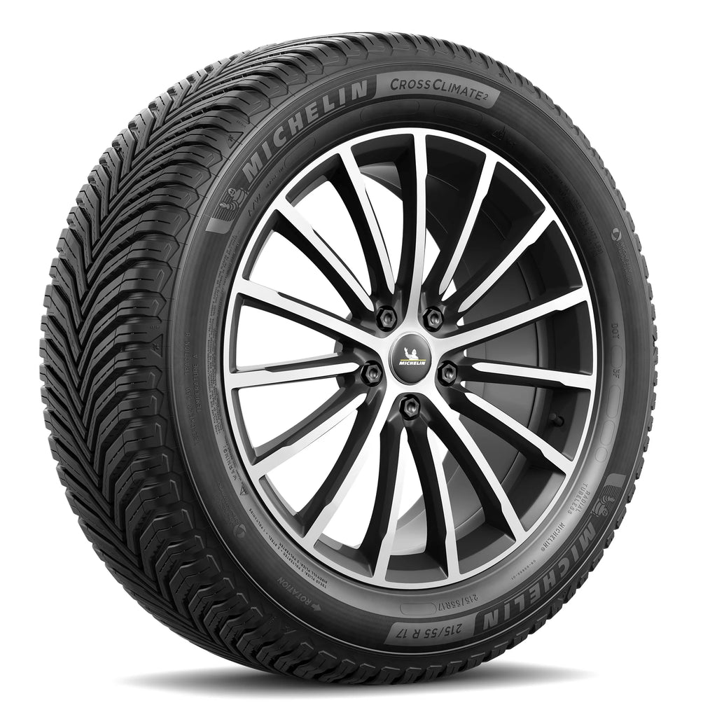 All-Season 255/50R20/XL 109V Tire W787