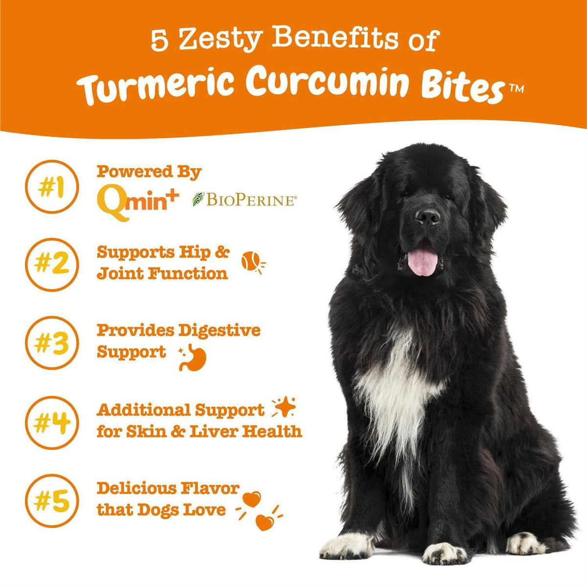 Turmeric Curcumin Bites for Dogs J11156