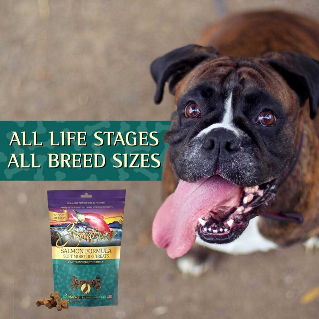 Soft Moist Dog Treats Z92069