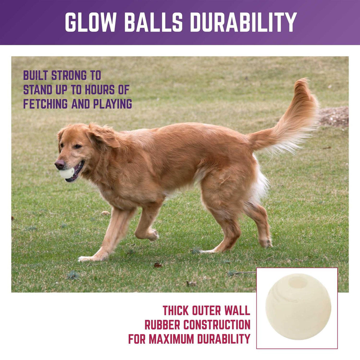 Glow Ball Dog Toys W246