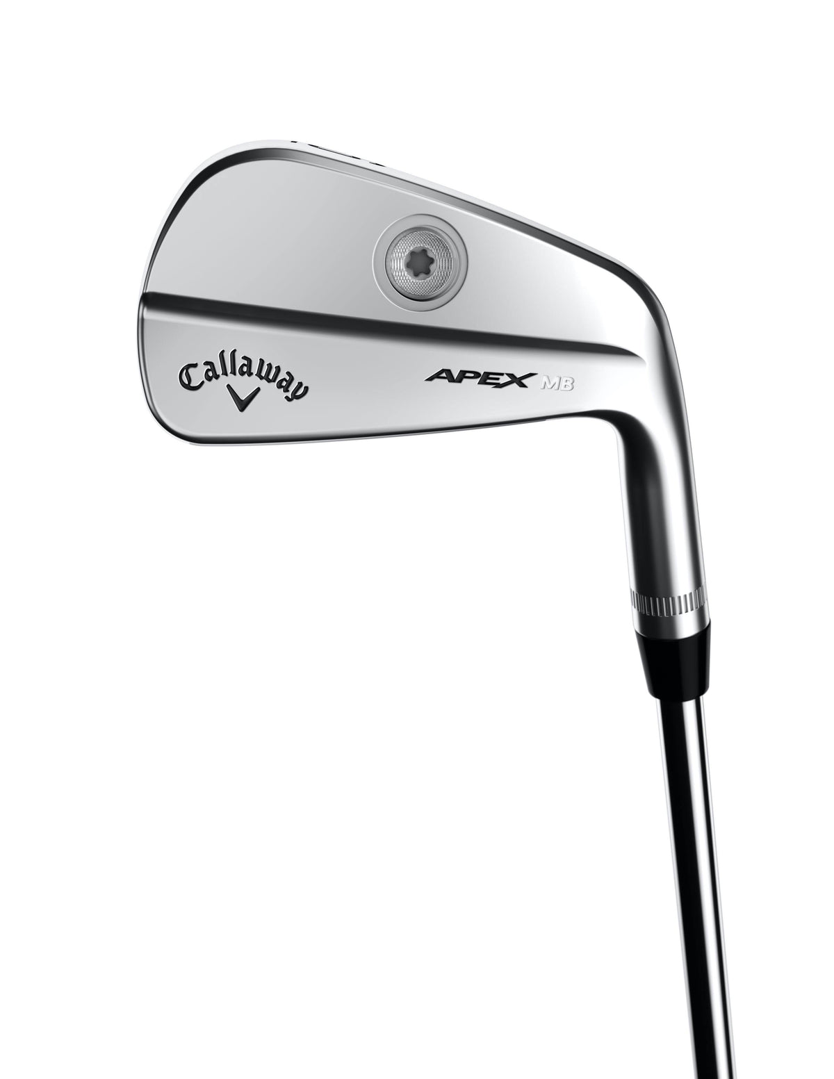 Steel Regular Right Handed 6 Iron D313433