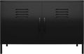 2 Door Metal Accent Cabinet T249848