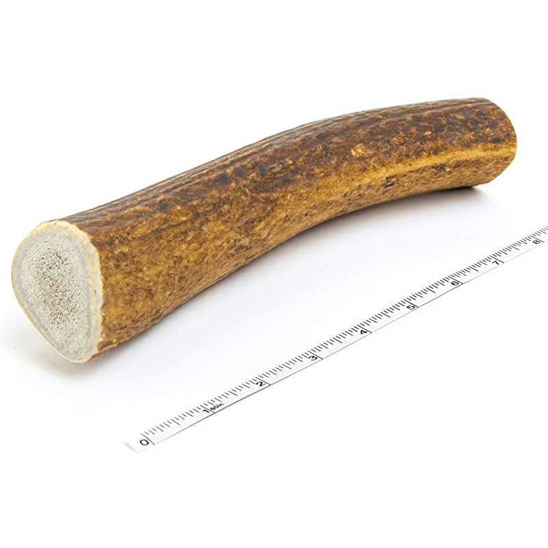 Elk Antler Dog Chew L22474