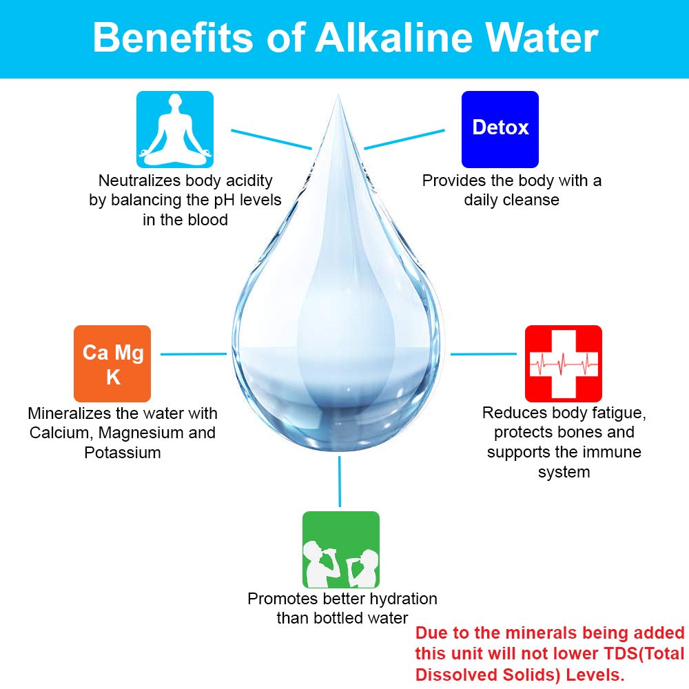 Countertop Carbon Mineral pH Alkaline Water Filter W87345