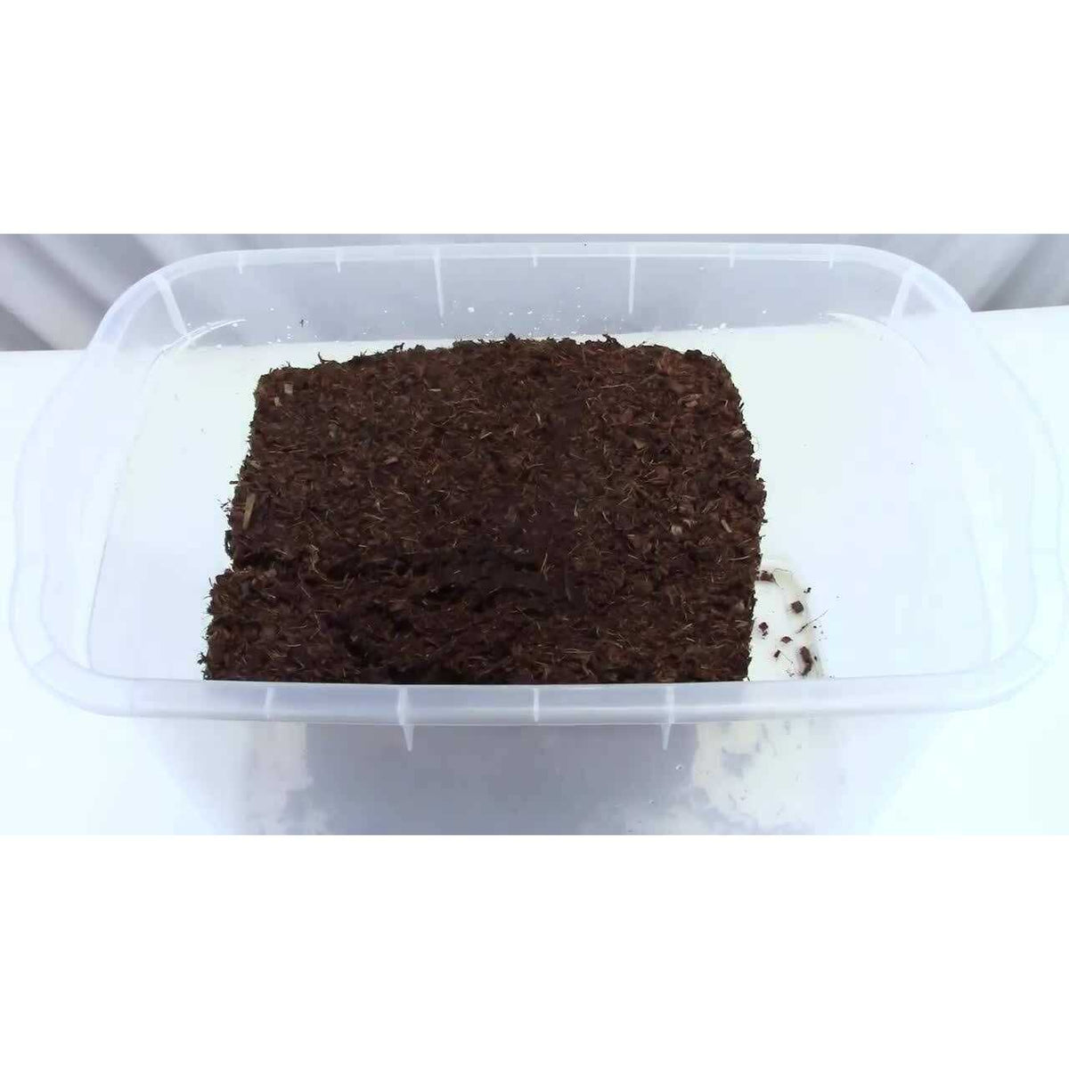 Coco Coir Reptile Substrate Q112