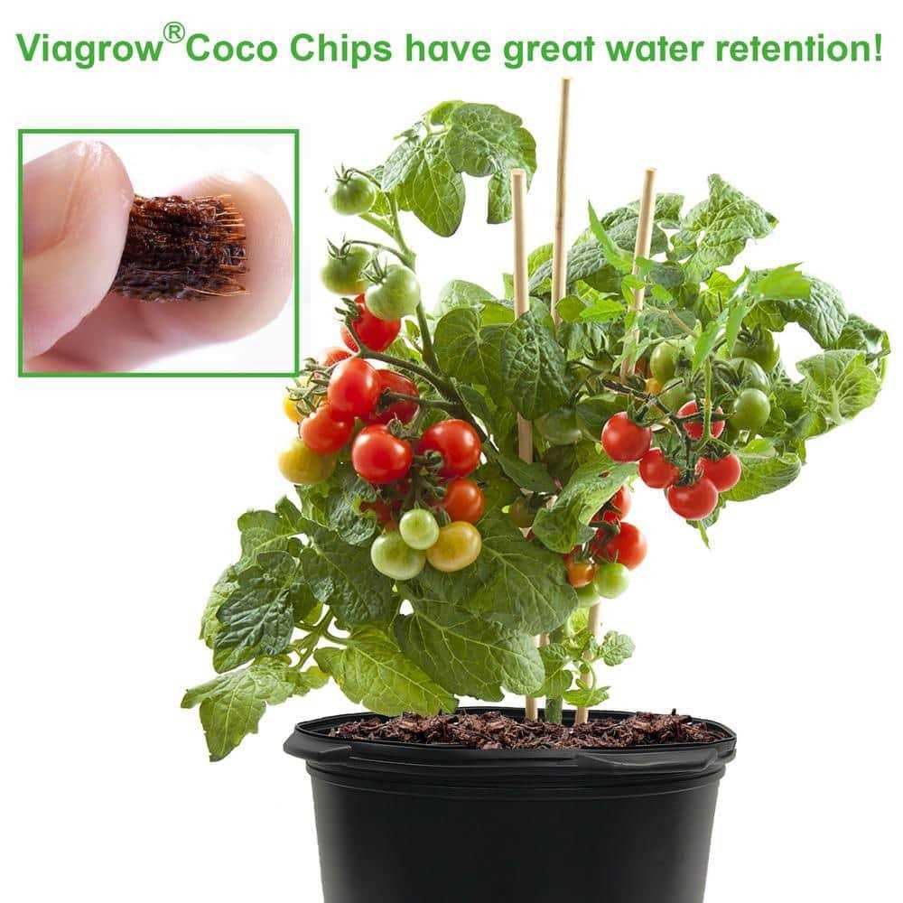 Coco Coir Reptile Substrate Q112