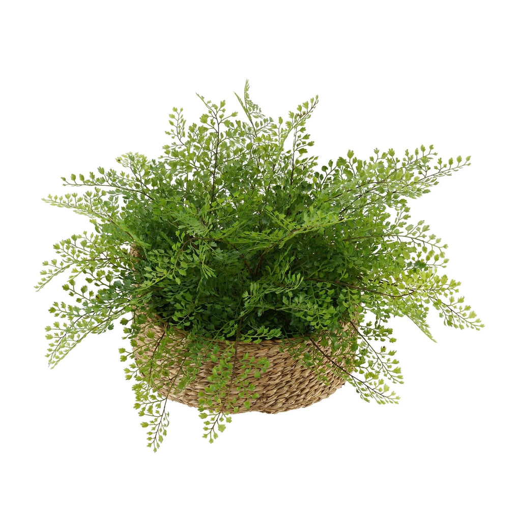 Faux Maidenhair Fern in Seagrass Tray Basket Q41753