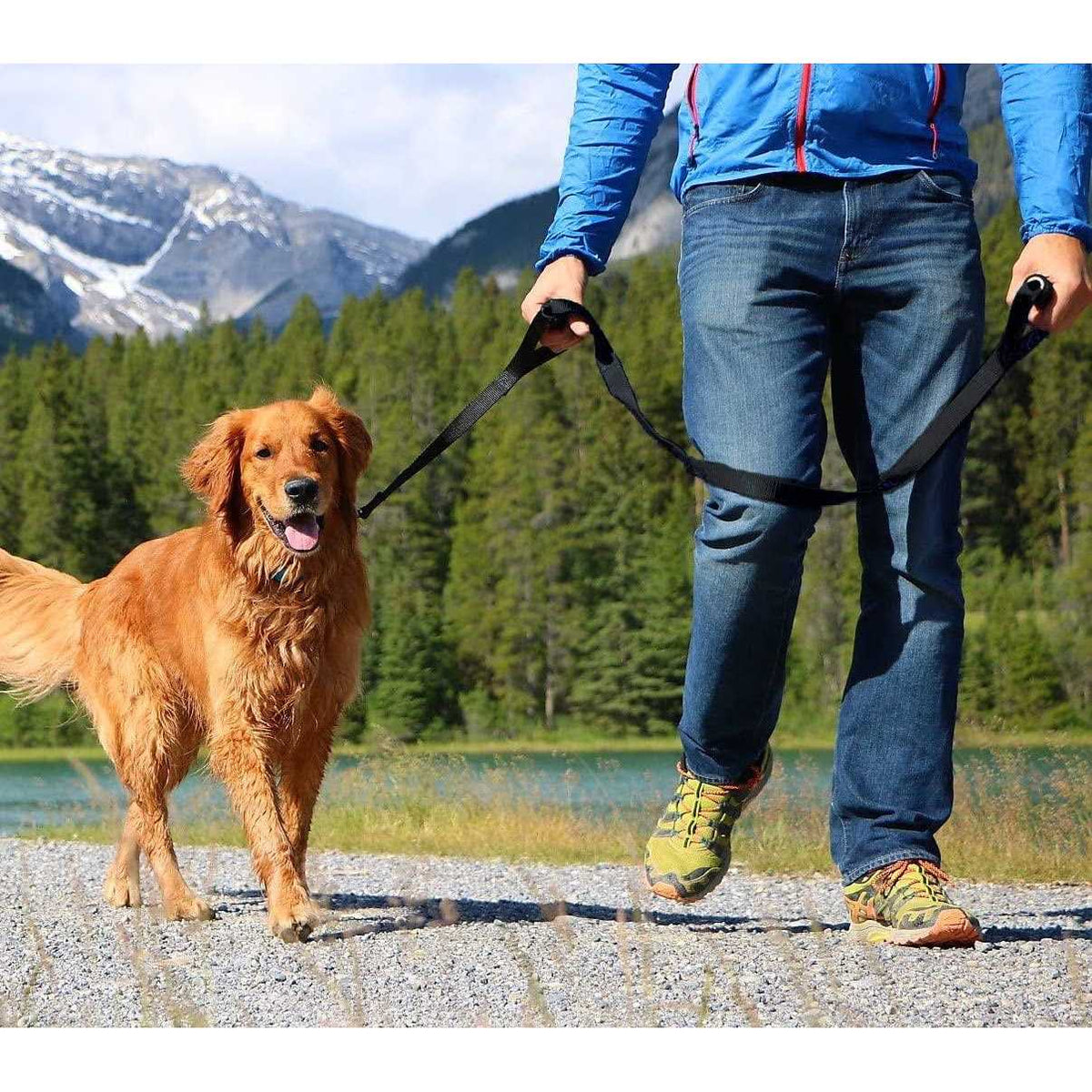 Heavy Duty Dog Leash V958597