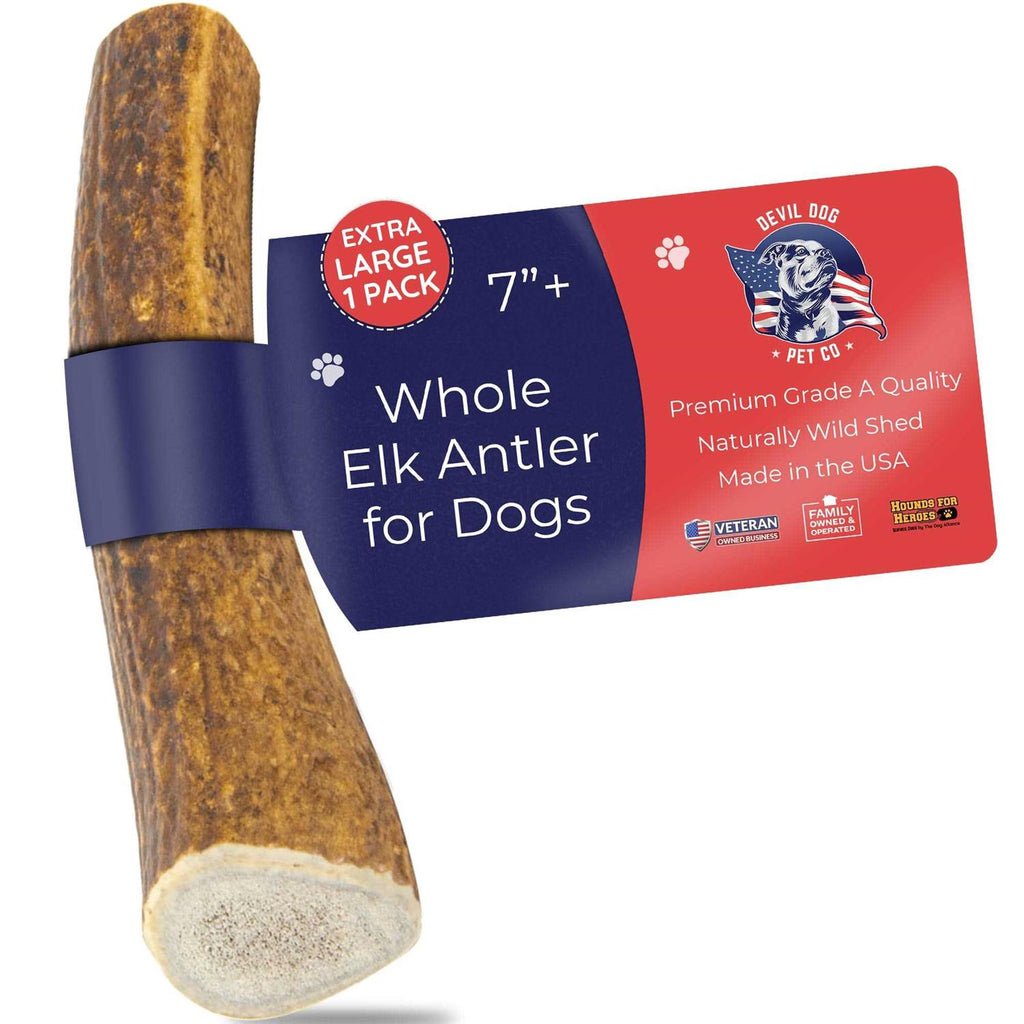 Elk Antler Dog Chew L22474