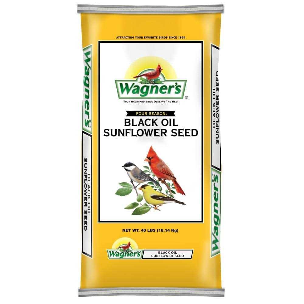 Black Oil Sunflower Seed Z623884