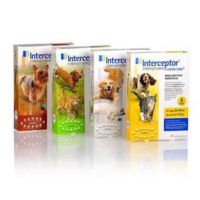 12 Month Supply Pet Supplies K48045