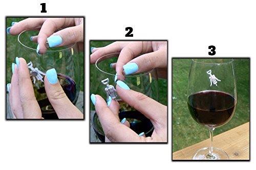 Magnetic Wine Glass Charms Set of 6 F129923