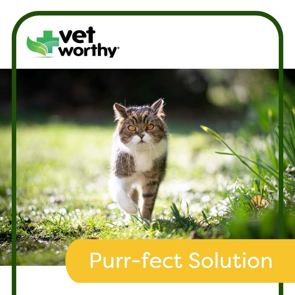 Urinary Aid Soft Chews for Cats R9827