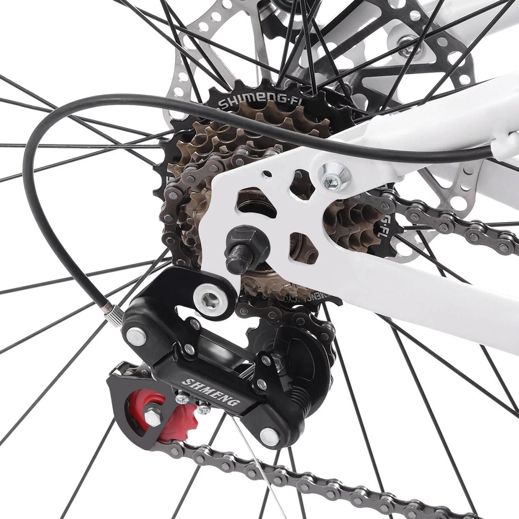 21 Speed Disc Brake Folding Mountain Bike A5391