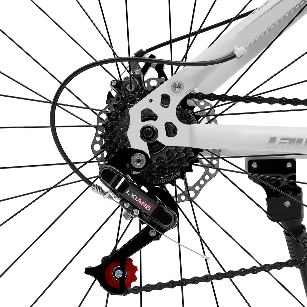 21 Speed Disc Brake Folding Mountain Bike A5391