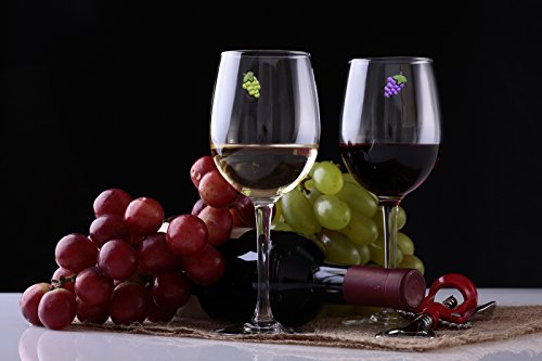 Magnetic Wine Glass Charms Set of 6 F129923