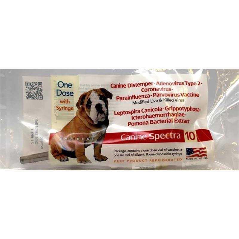 Dog Vaccine I54725