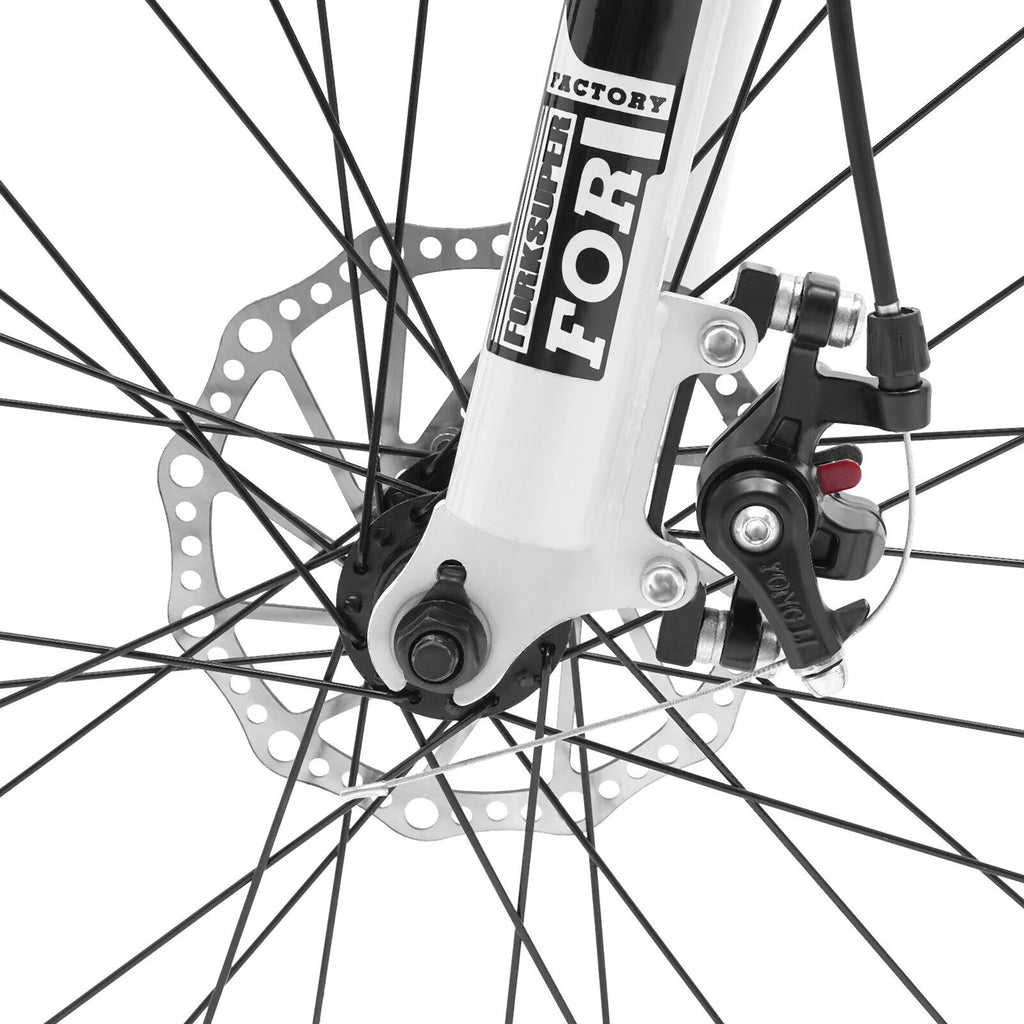 21 Speed Disc Brake Folding Mountain Bike A5391