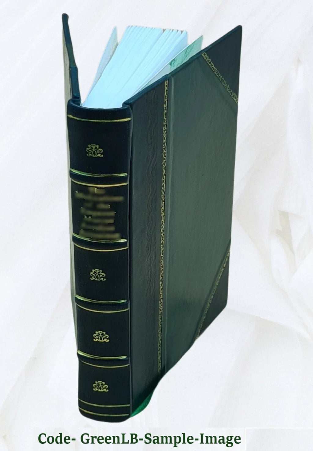 Leather Bound Poetry R364850