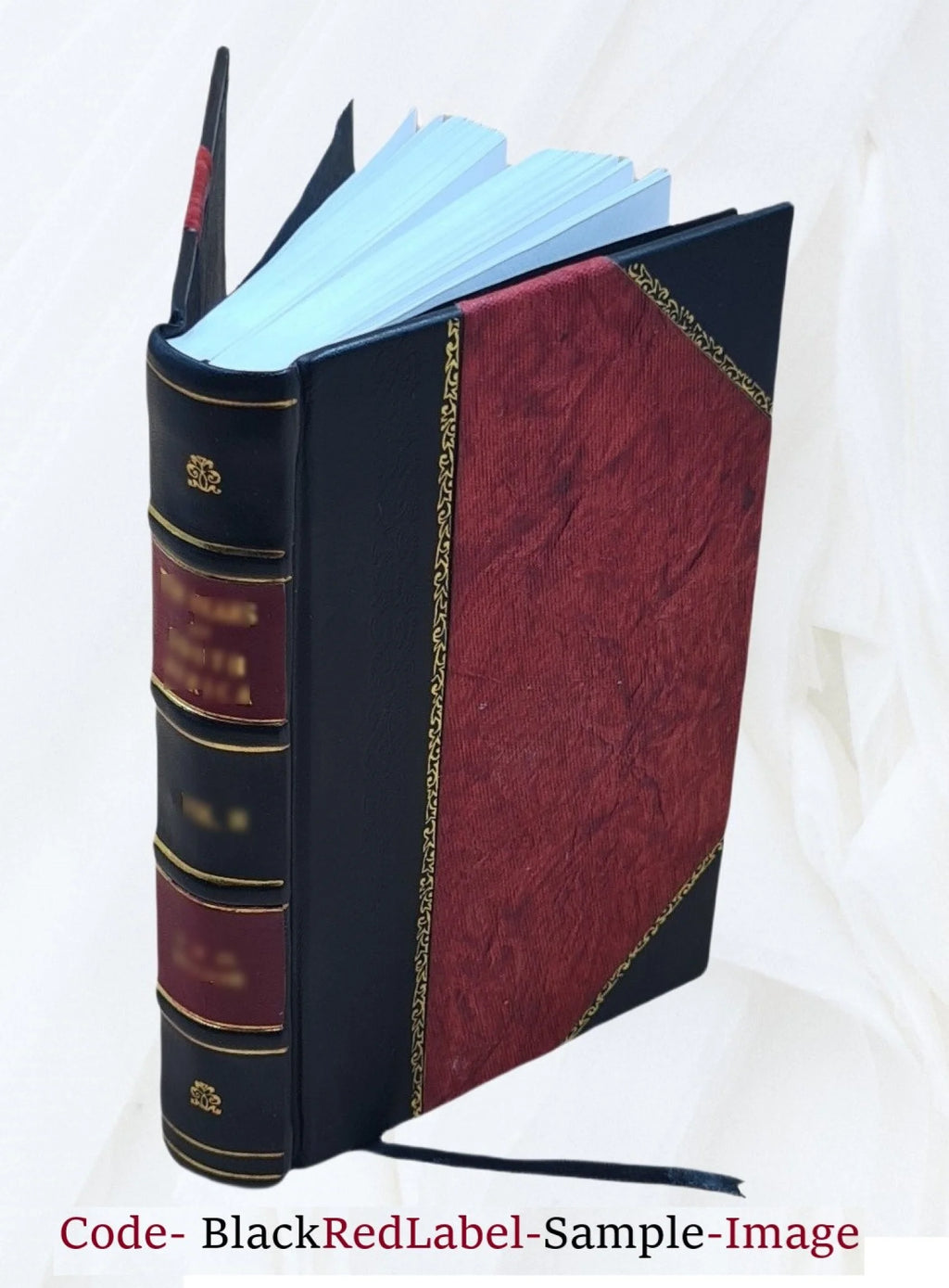 Amos propheta, viginti et nouem homilijs explicatus X984