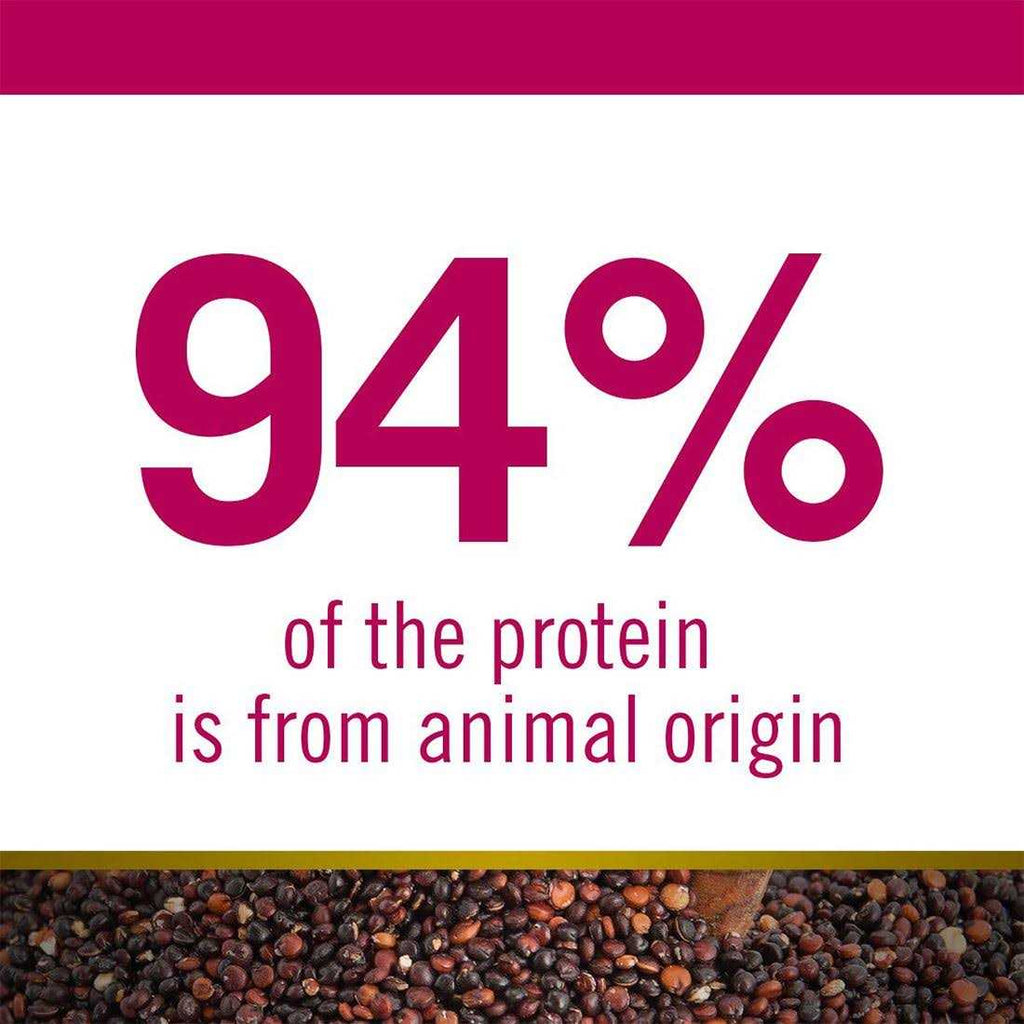 Quinoa Dog Food C513569